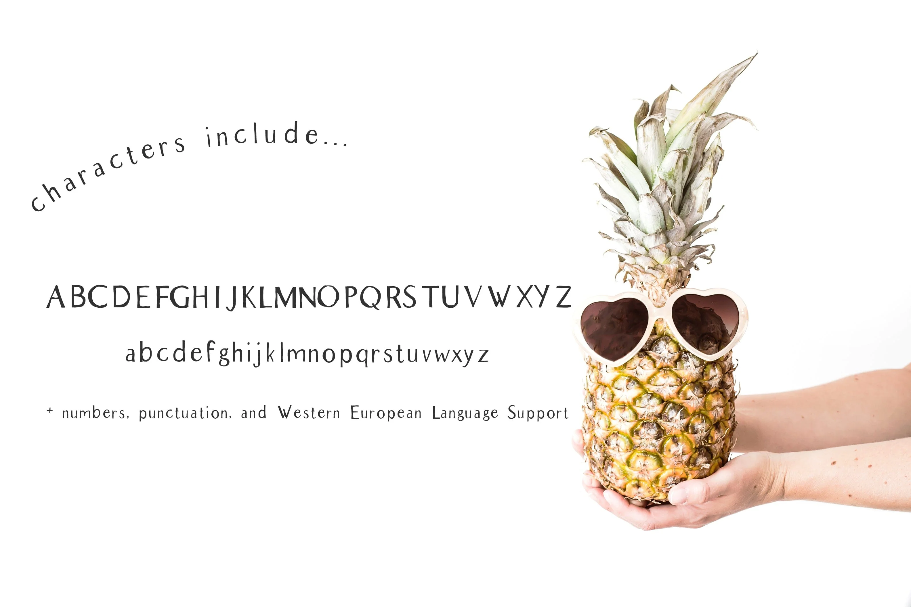 Summer Market Rustic Farmhouse Sans - Image 9