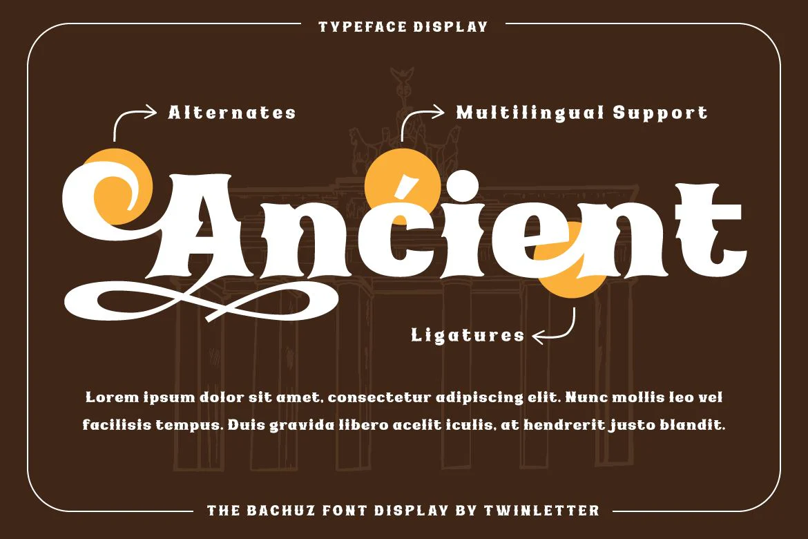 The Bachuz | Serif Classic Modernism - Image 2