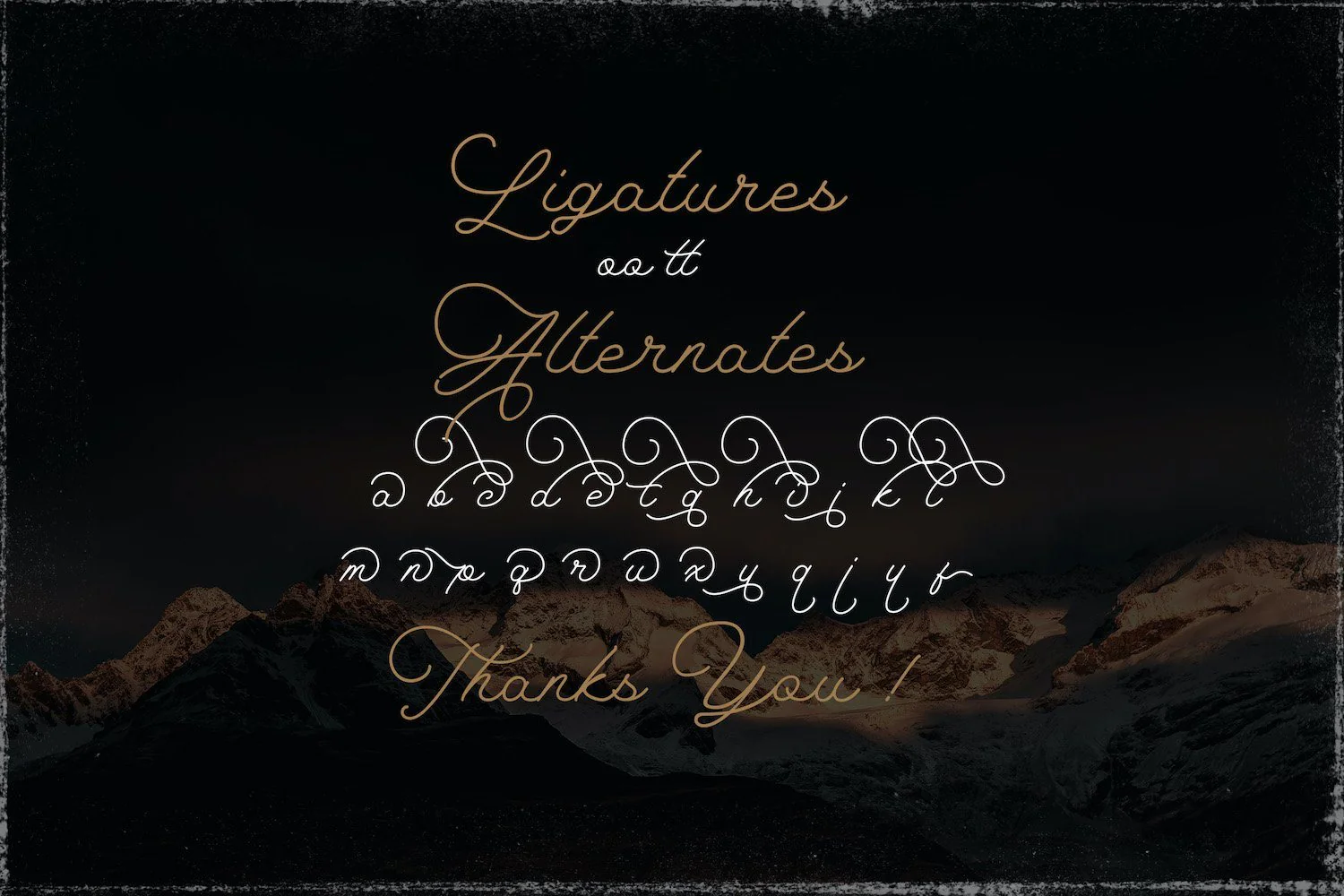 The Saily - Monoline Retro Script Font - Image 13