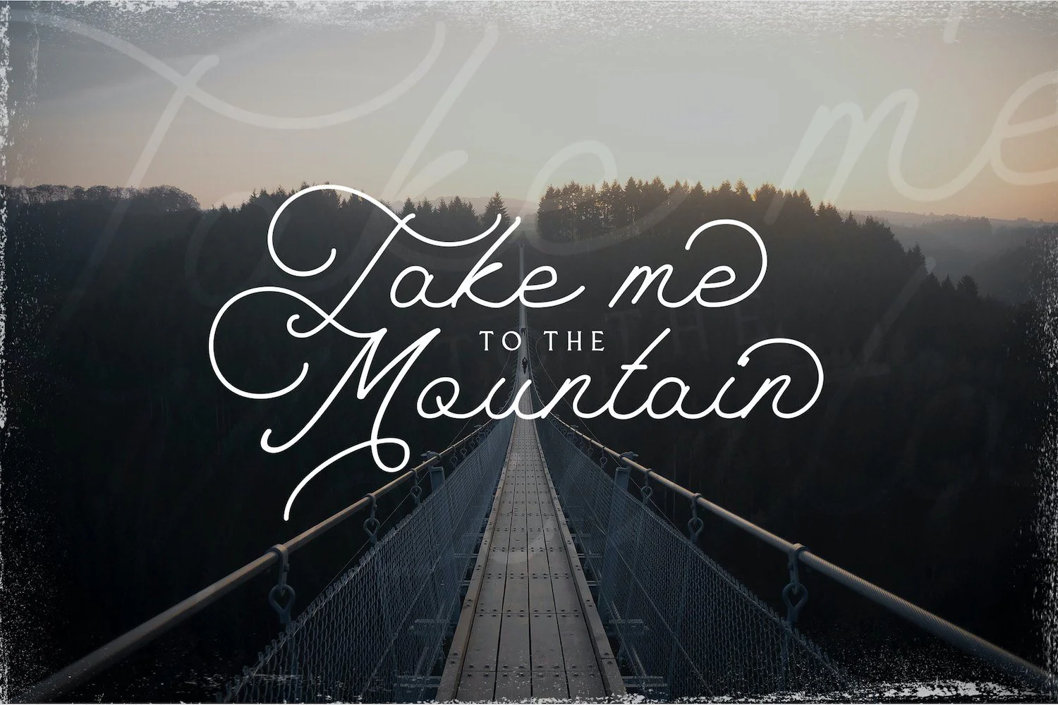 The Saily - Monoline Retro Script Font - Image 9