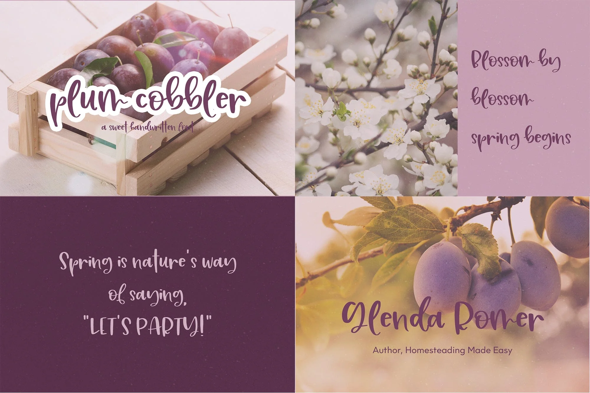 The Sweet Font Bundle - Image 8