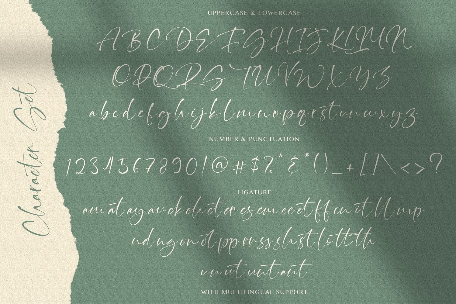 Thinker Script - Signature Font - Image 10
