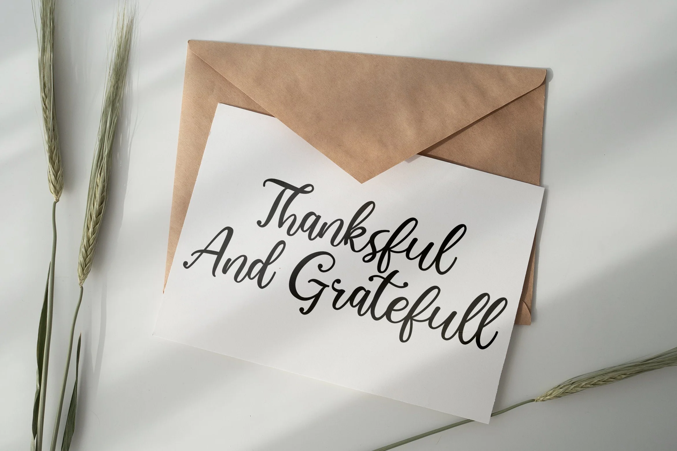 Virgiluna - Modern Calligraphy Font - Image 11