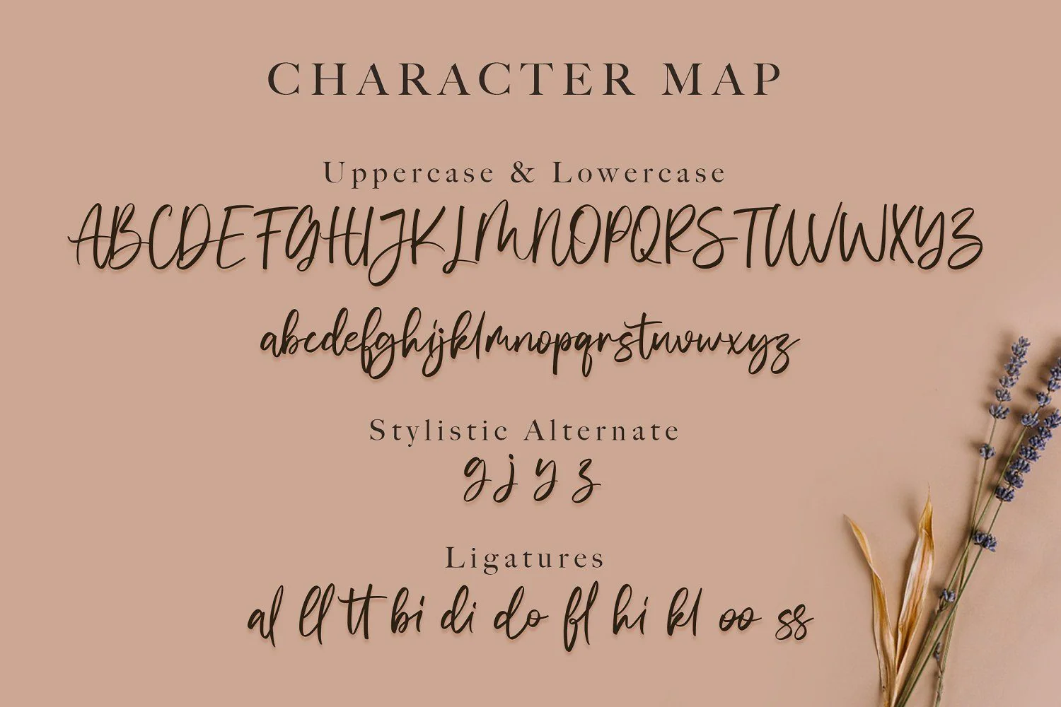Vivy Aquilla - Handwritten Font - Image 14