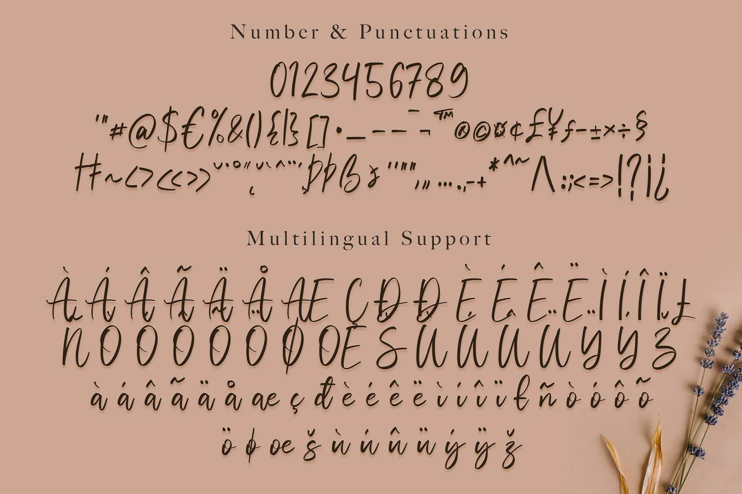 Vivy Aquilla - Handwritten Font - Image 15