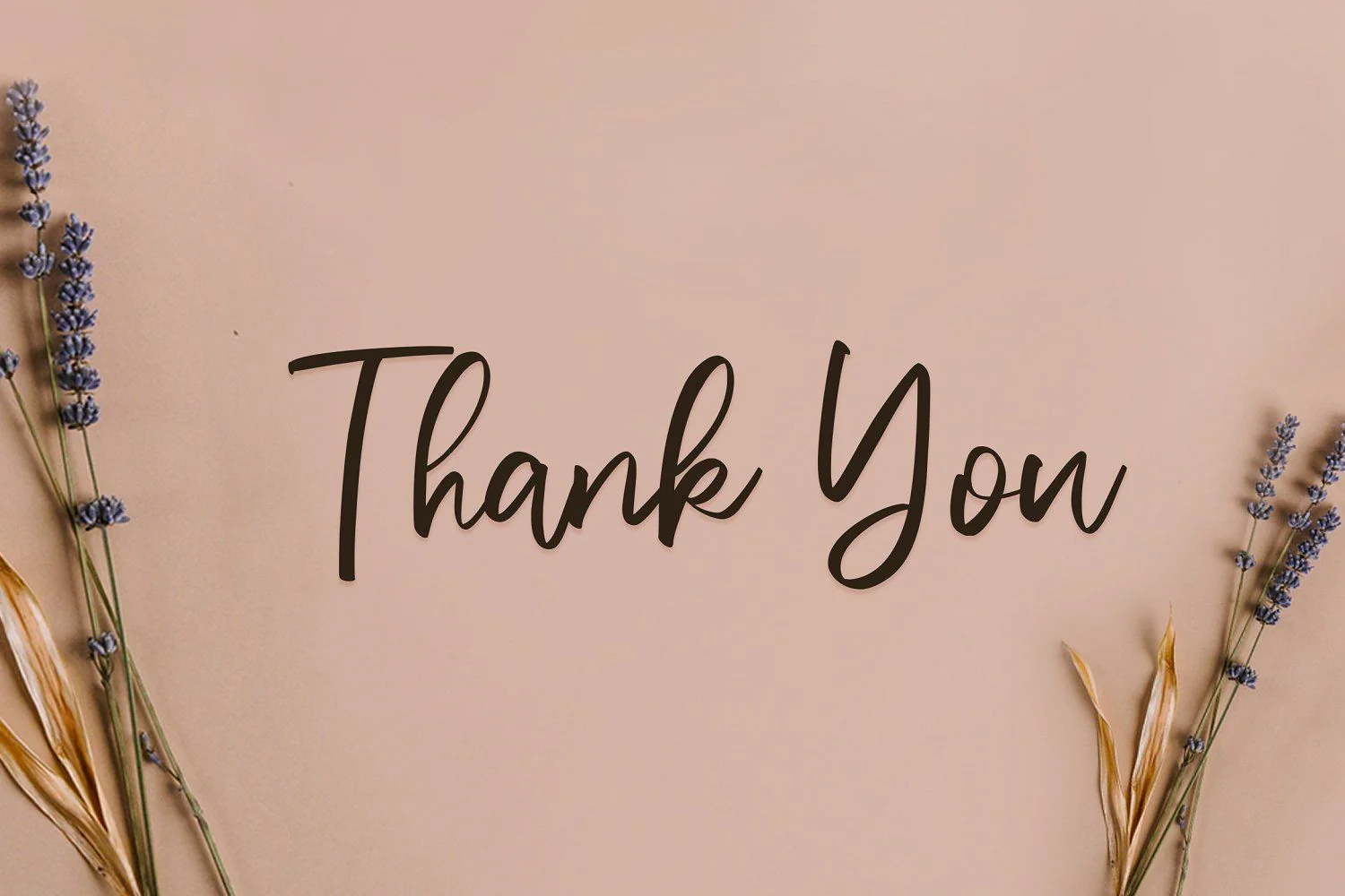 Vivy Aquilla - Handwritten Font - Image 16
