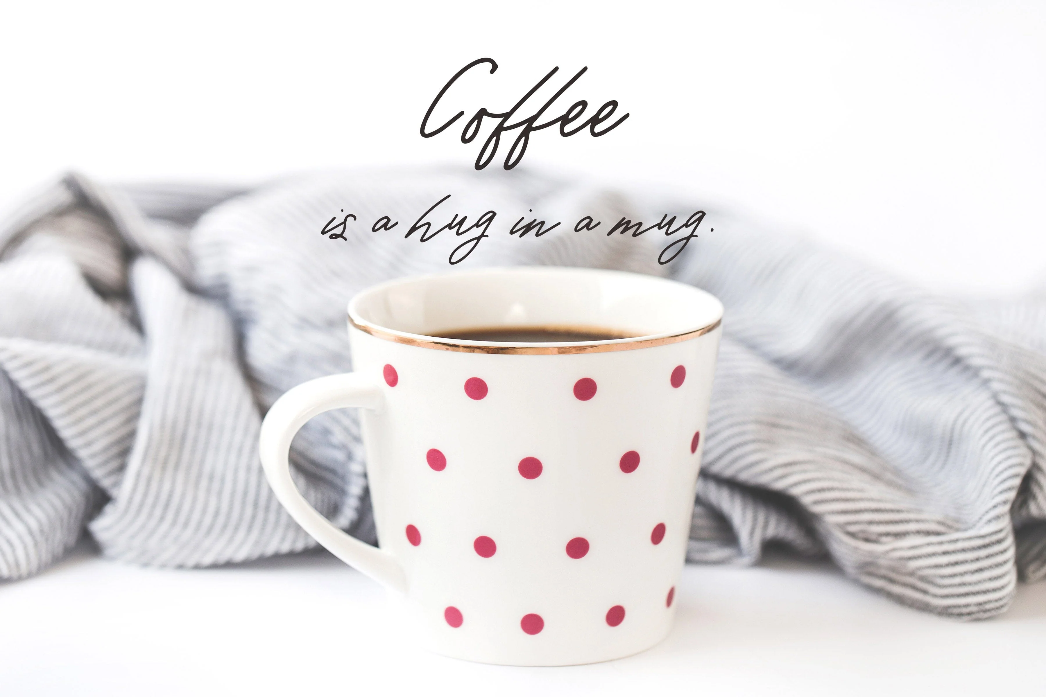 Warmth Casual Script - Image 7