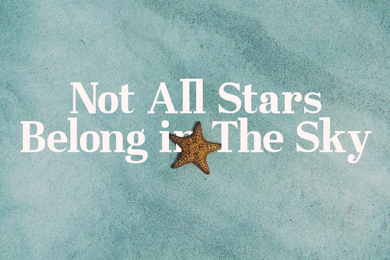 Westerniya Serif - Elegant Serif Font - Image 3