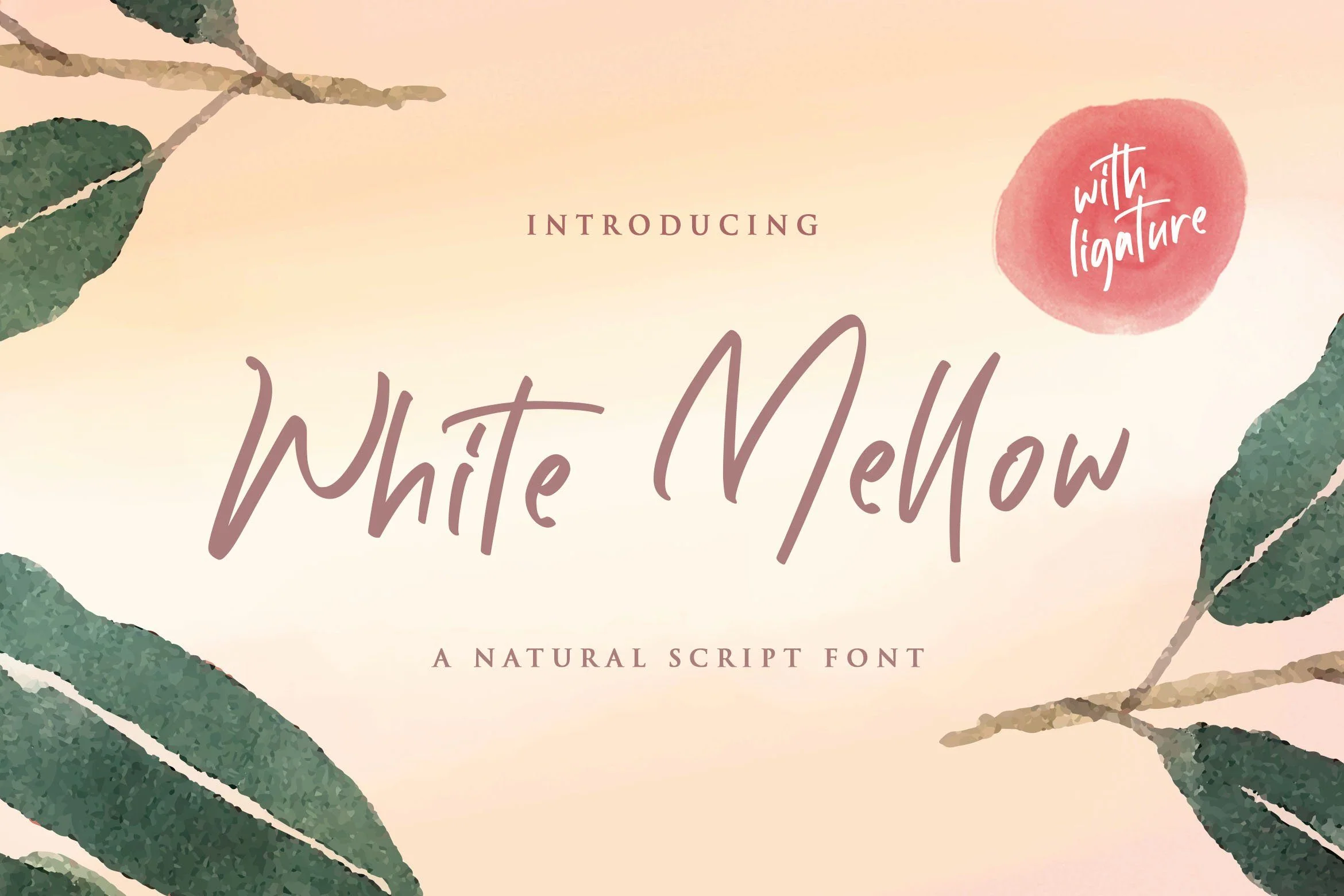 White Mellow - Handwritten Script Font