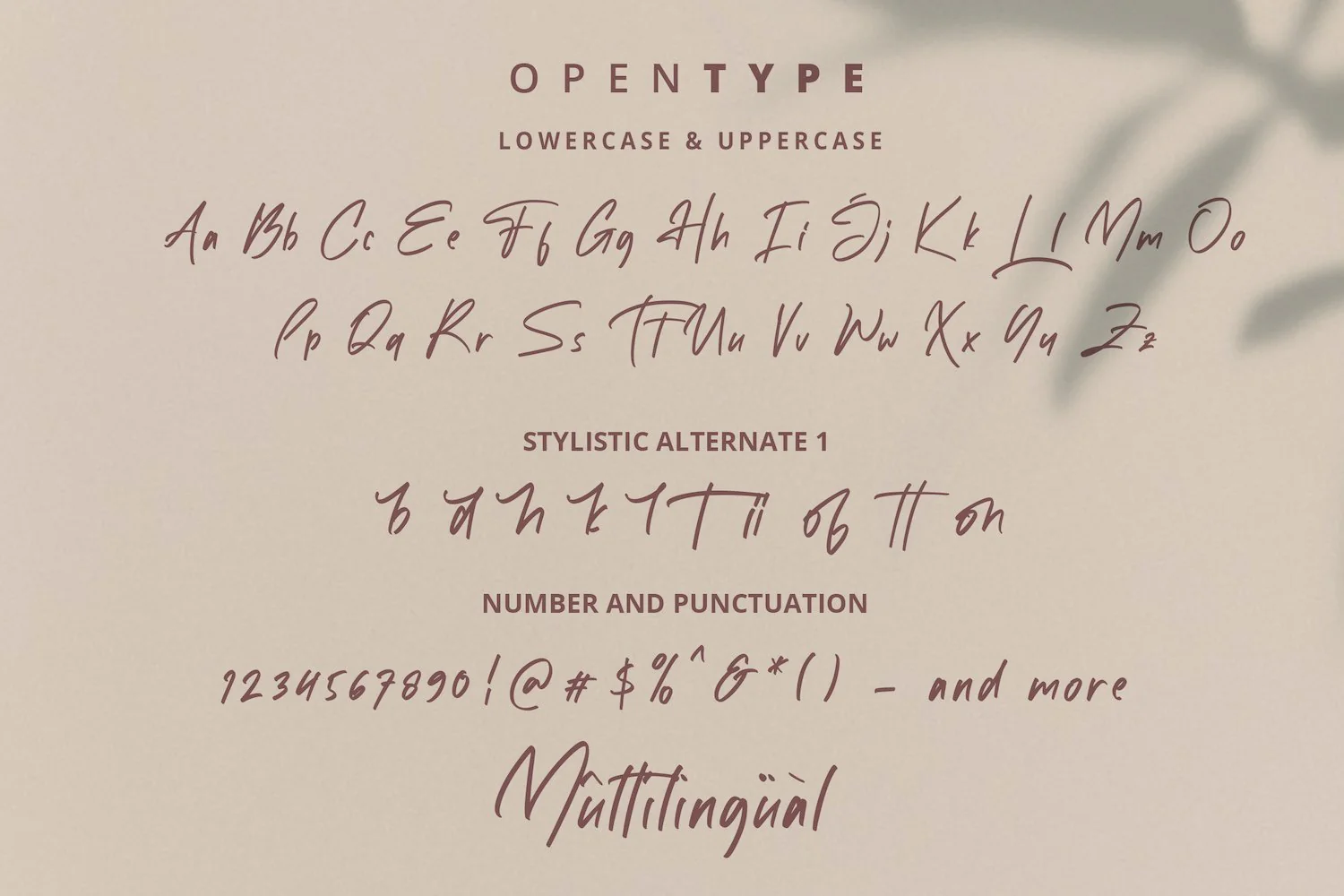White Mellow - Handwritten Script Font - Image 15