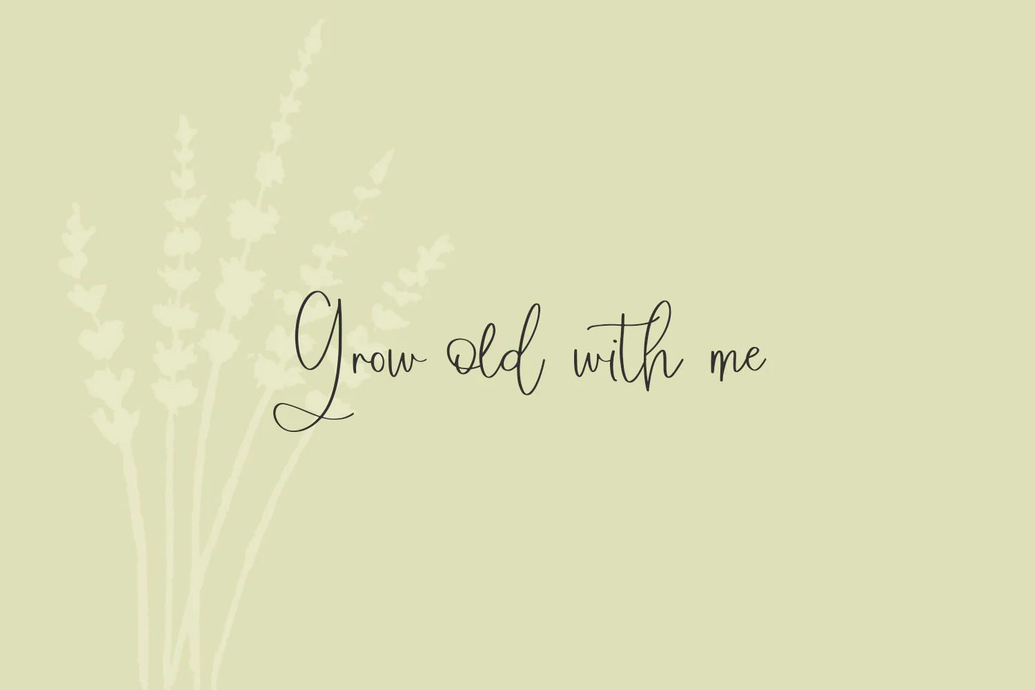 Windswept Heart Script - Image 6