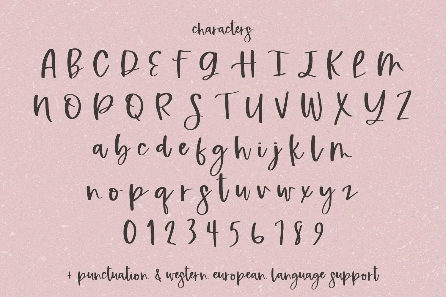 Winesborough Script - Image 10