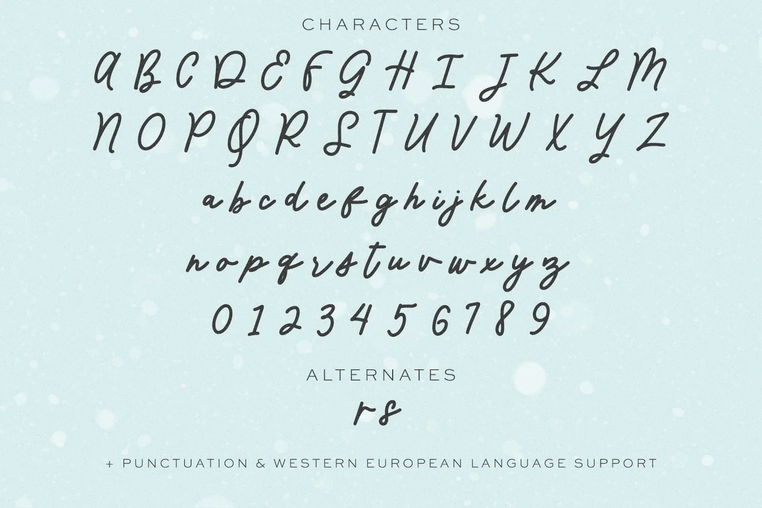 Wintermint Script - Image 10