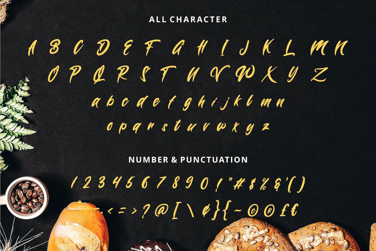 Wynter Sandy - Bold Script Font - Image 13