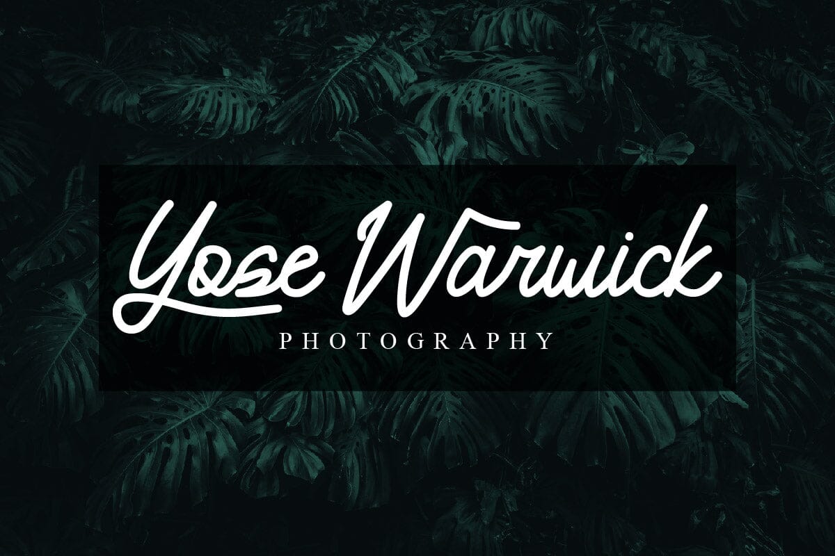 Yamosty - Script Monoline Font - Image 5
